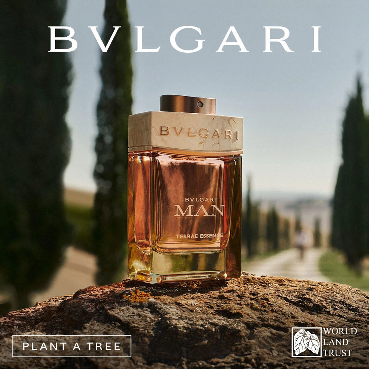 THE BVLGARI